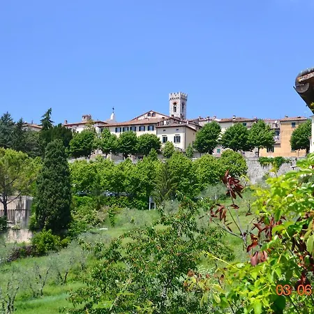 Campo Agli Olivi *