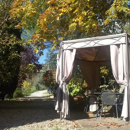 Campo Agli Olivi Radda in Chianti