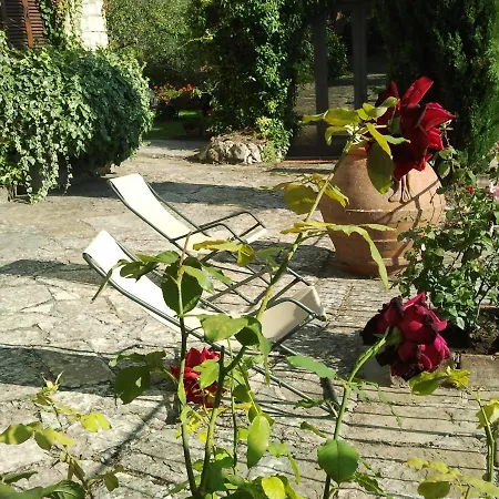Campo Agli Olivi Country house